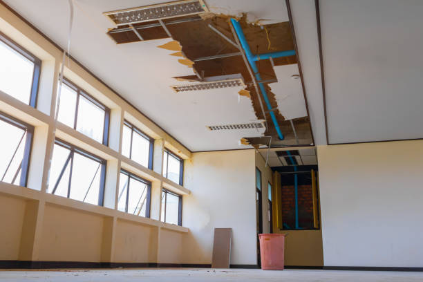 Best Professional water damage repair  in West Falmouth, MA