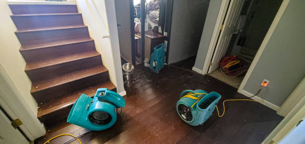 Best Basement water damage restoration  in West Falmouth, MA
