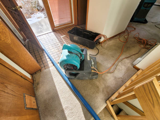 Best Residential water damage restoration  in West Falmouth, MA