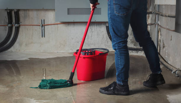 Best Flooded house restoration  in West Falmouth, MA