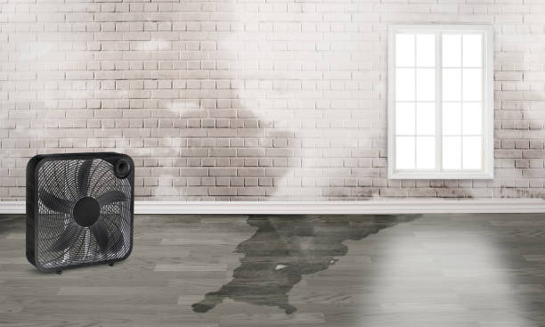 Best Local water damage restoration  in West Falmouth, MA
