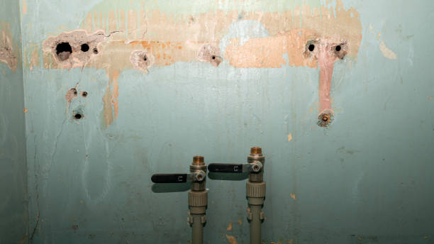Best Flood restoration services  in West Falmouth, MA